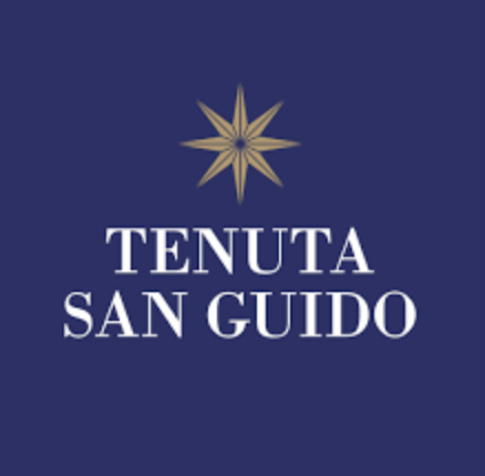 (image for) Tenuta San Guido SASSICAIA 2013 (GL)